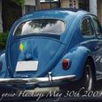 090531beetles