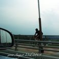 090823bridge