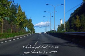 091106whaleCloud