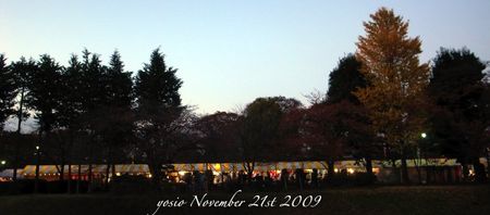 091121fes