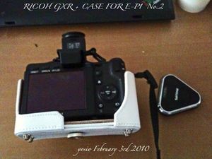 100203gxr2