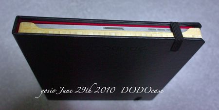 100629dodocase7