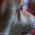 100814anzu