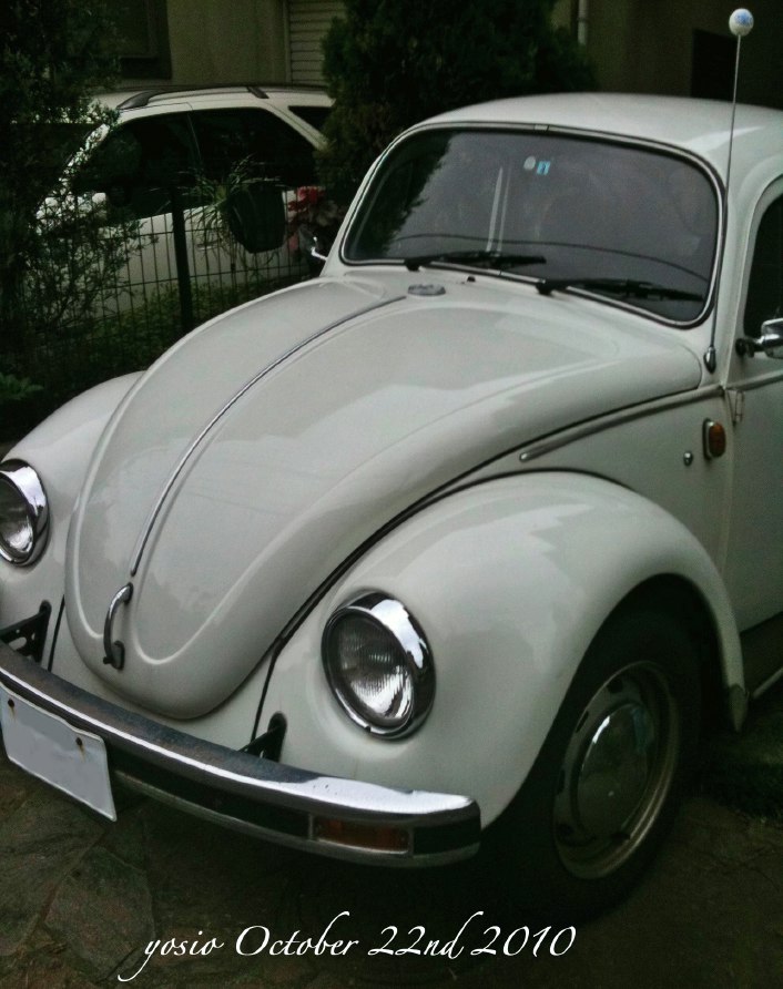 101022oldBeetle