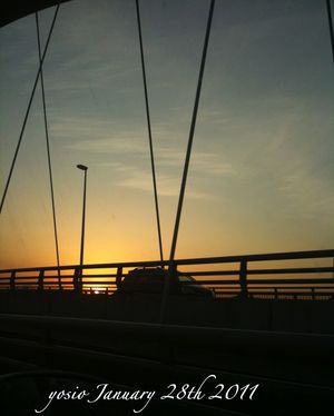 110128bridge