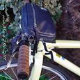 110328bikeBag