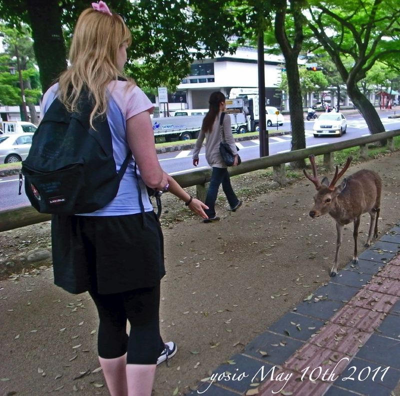 110510nara1