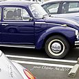 111009beetle