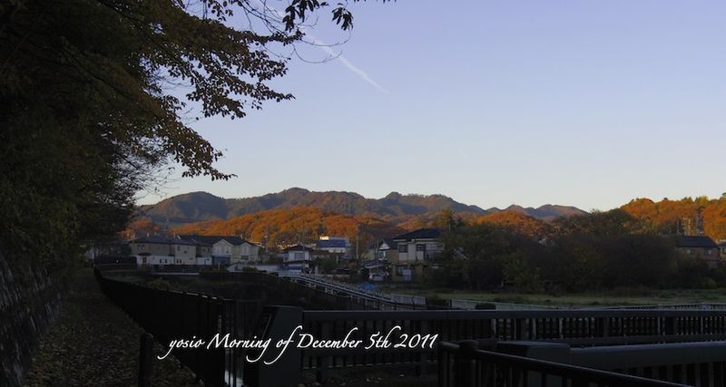 111205morning