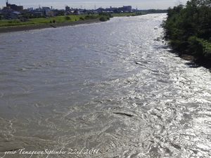 110922tamagawa