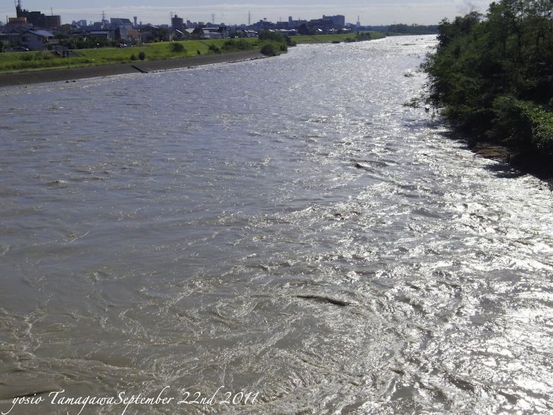 110922tamagawa