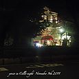 111109cello_night