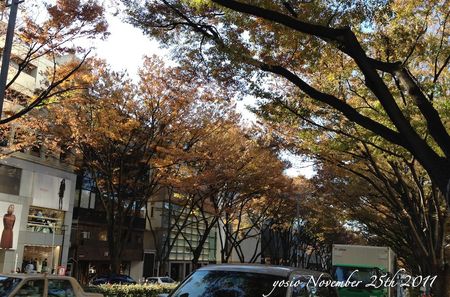 111125omoteSando