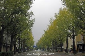 111022afterRain