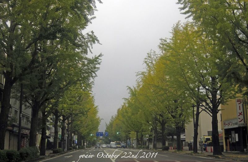 111022afterRain