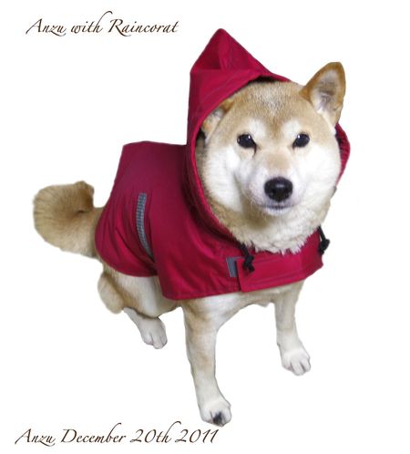 111220anzuRaincoat