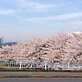 120413view