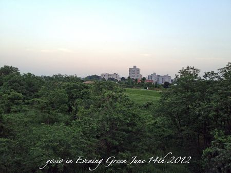 120614evening