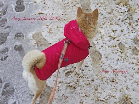 120120snow