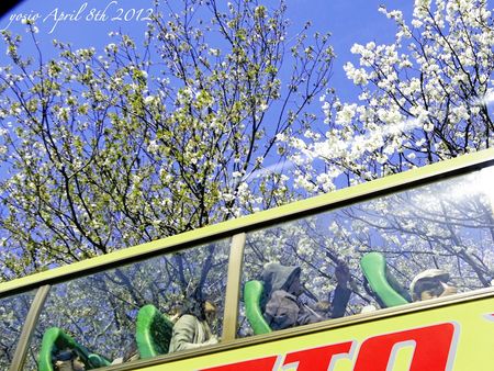 120408cherry_bus