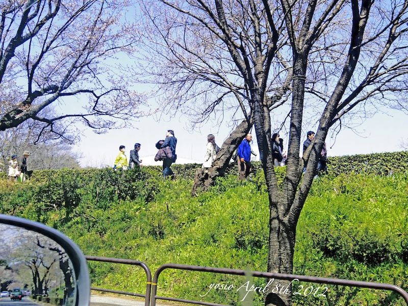 120408chidorigafuchi