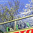 120408cherry_bus