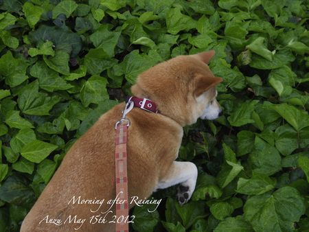 120515morning