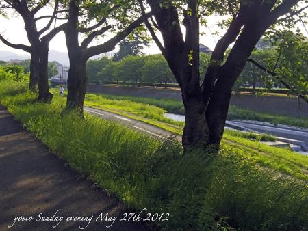 120527evening