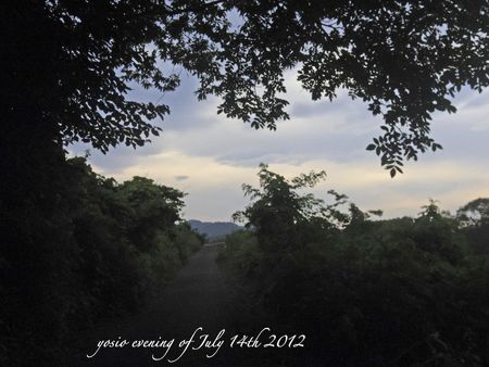 120714evening