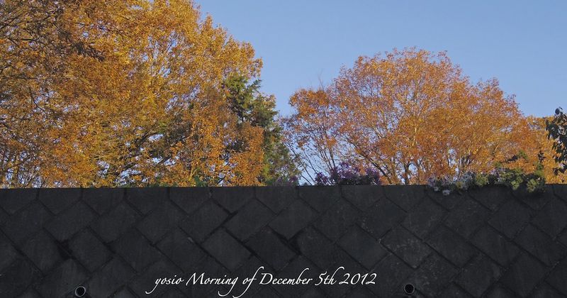 121205morning