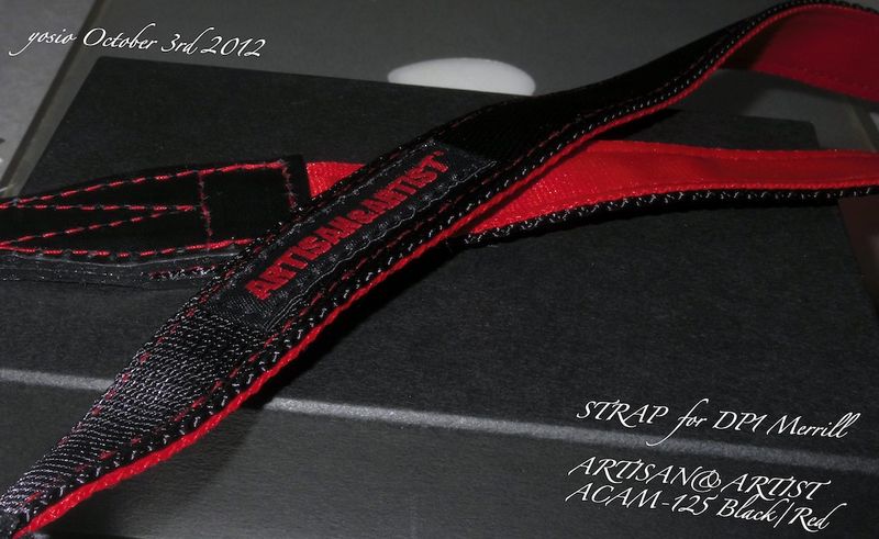 121003STRAP2