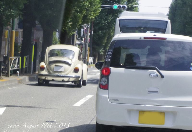 130817beetle