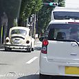 130817beetle