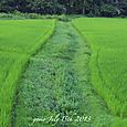 130715field