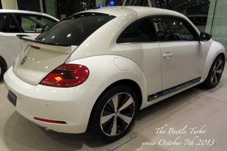 131007beetle