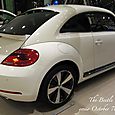 131007beetle