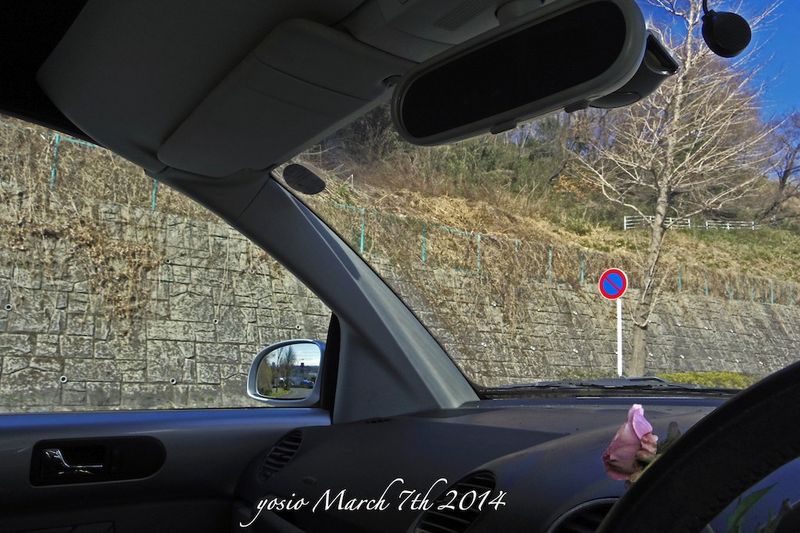 140306morning