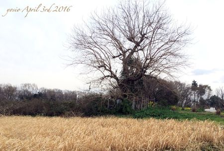 160403cloudy 160403cloudy