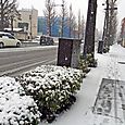 150130R20