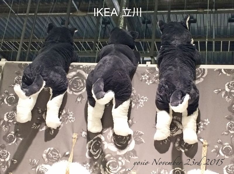 151123ikea