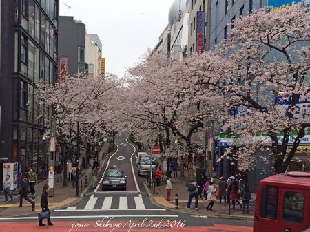 160402shibuya1