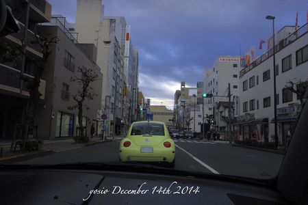 141214beetle