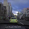 141214beetle