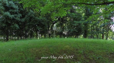 150506park 150506park
