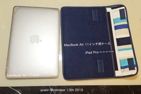 151113iPadProCase