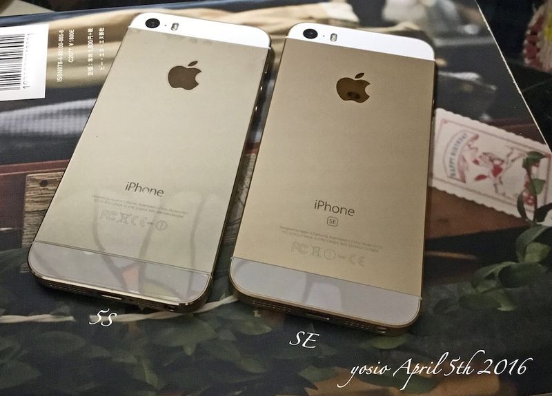 160405iPhone5sAndSE