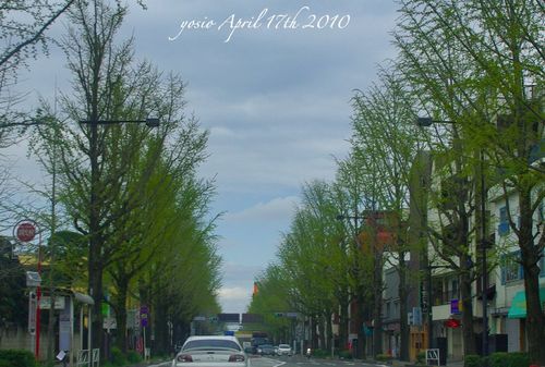 100417route20